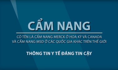 Cách thực hiện hồi sinh tim phổi (CPR) ở người lớn