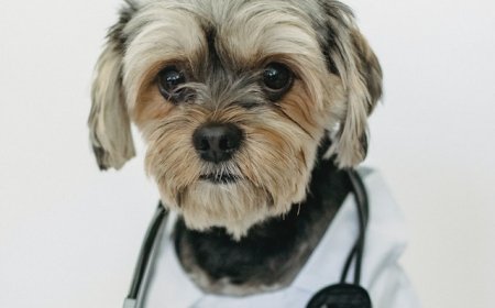 Quản lý thời gian hiệu quả cho bác sĩ: Tips và chiến lược