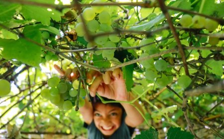 Nỗi khổ của bác sĩ nuôi con nhỏ